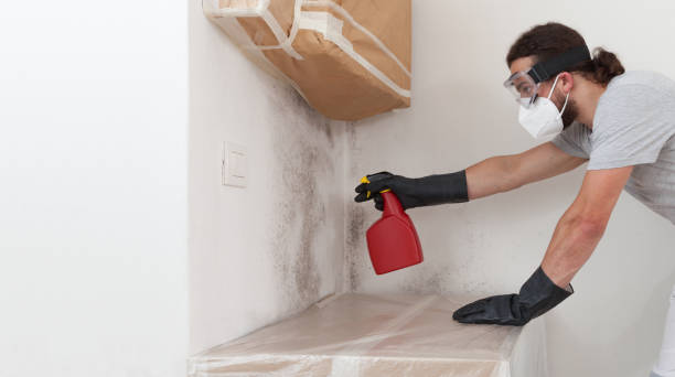 Professional Mold Remediation technician working in Midland, MI