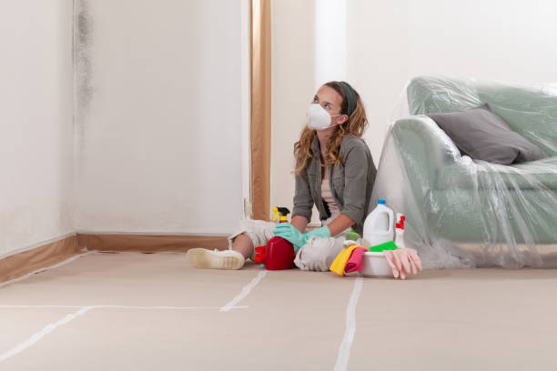 Reliable Mold Remediation contractor in Midland, MI by 24 Hour Mold Removal